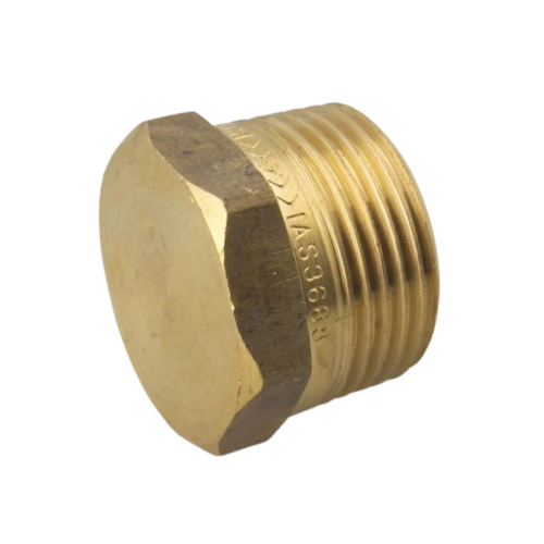 Brass Plug 1"