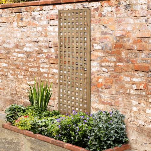 Premium Framed Trellis - 180 X 60Cm - Pack Of 4 (Home Delivery)