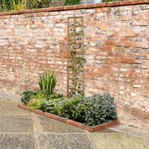 Smooth Planed Trellis - 180 X 30Cm - Pack Of 4 (Home Delivery)