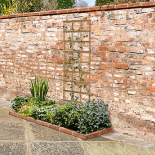 Smooth Planed Trellis - 180 X 60Cm - Pack Of 4 (Home Delivery)