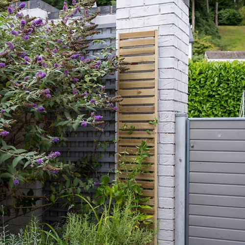 Slatted Trellis 180X30Cm- Pack Of 4 (Home Delivery)