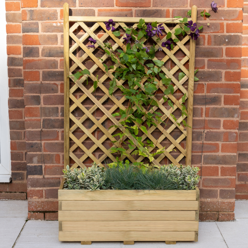 Trellis Planter (Home Delivery)