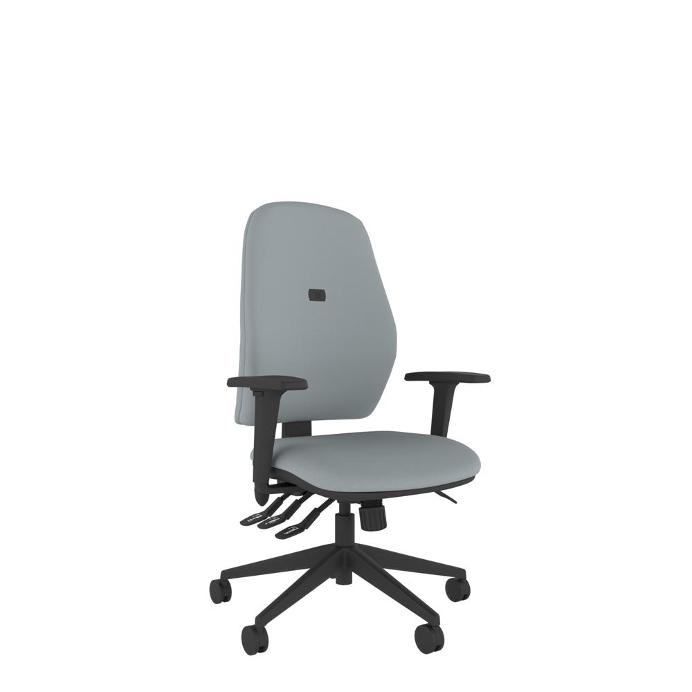 ErgoFIX Intro Upholstered Deluxe High Back Medium Seat, Inflatable Lumbar Thoracic Cell Posture Performance Foam  Chair with 3D Arms