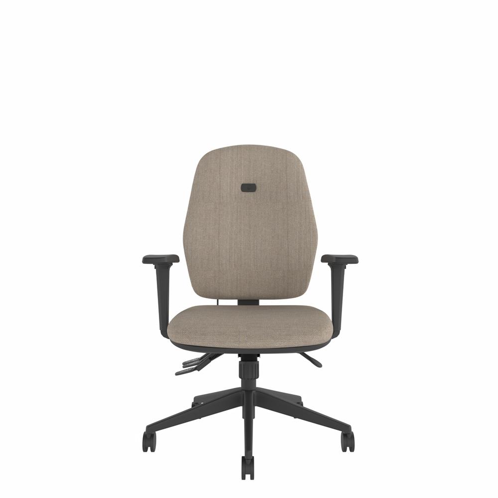 ErgoFIX Intro Upholstered Deluxe High Back Medium Seat, Inflatable Lumbar Posture Chair - No Arms - Group 2 Fabric (Inc. Vinyl)