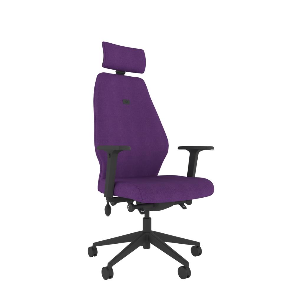 ErgoFIX Solo High Back Inflatable Lumbar Posture Chair with Headrest and 4D Arms