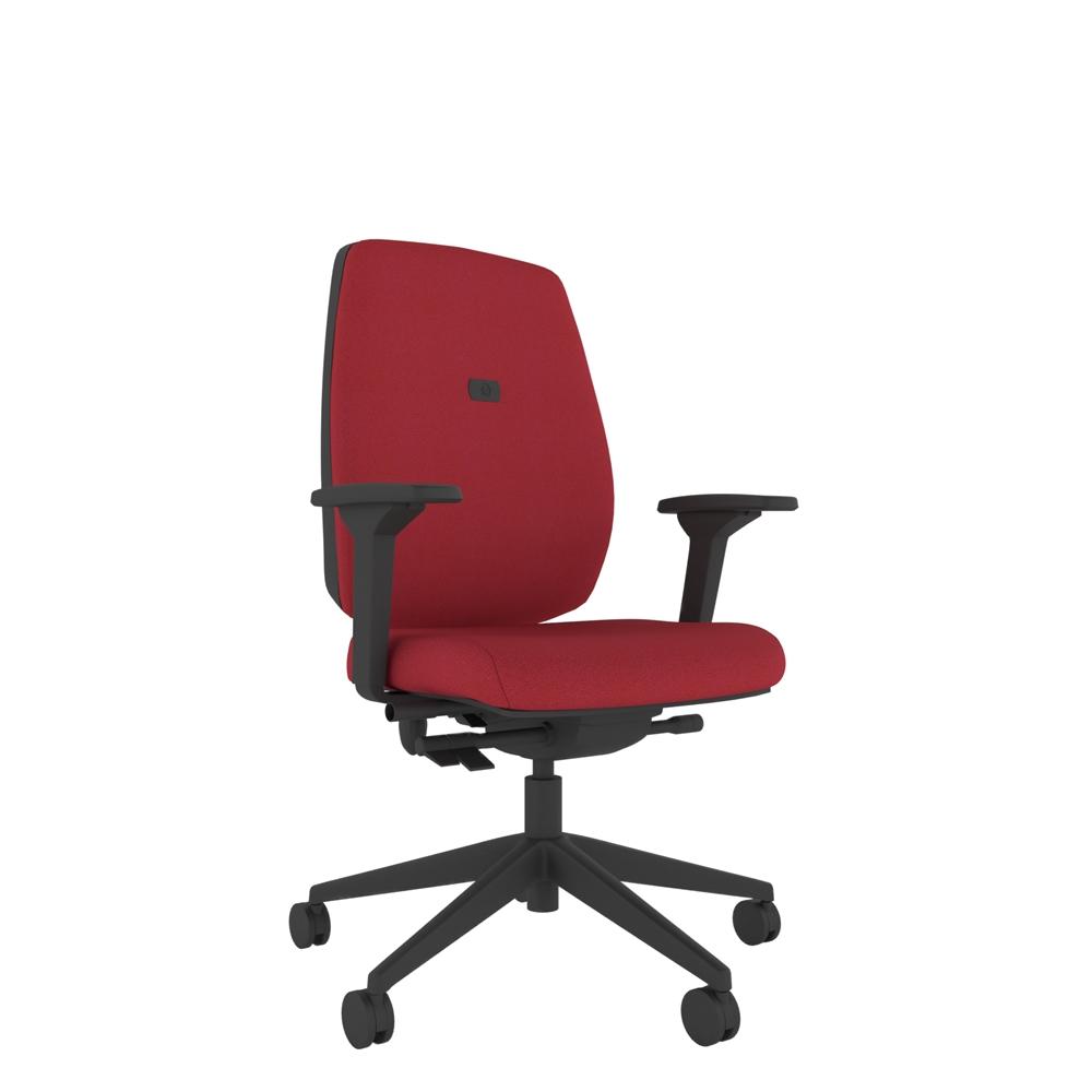 ErgoFIX You High Back Inflatable Lumbar Posture Chair with 4D Arms