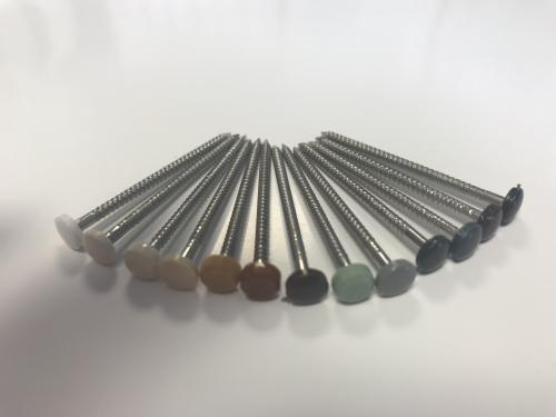 Polytop Pins Coloured