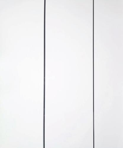 Geopanel White Gloss Silver Edge 5mm x 250mm x 2.7m
