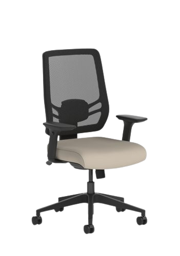 Ergonomic Chairs